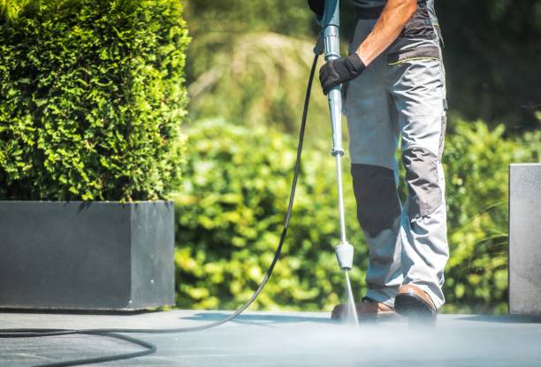 Best Solar Panel Cleaning  in Butler, GA